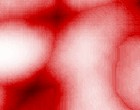 actis isolation