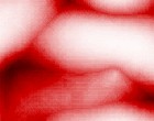 ethologische isolation