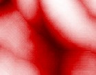 evolution isolation
