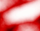 genetische isolation