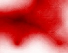 mrna isolation