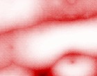 kologische isolation